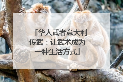 华人武者意大利传武：让武术成为一种生活方式